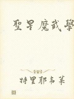 圣星魔武学院
