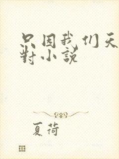 只因我们天生一对小说