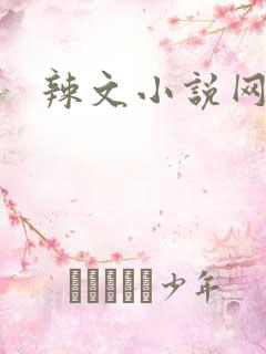 辣文小说网