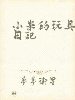 小米的玩具羞辱日记