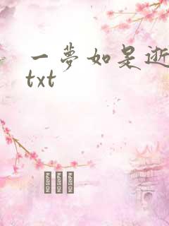 一梦如是逝水长txt