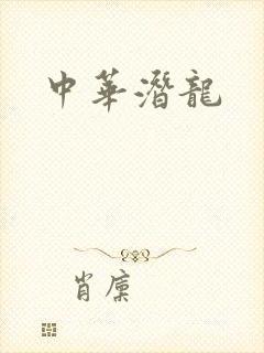 中华潜龙