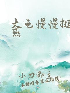 大龟慢慢挺进张燕