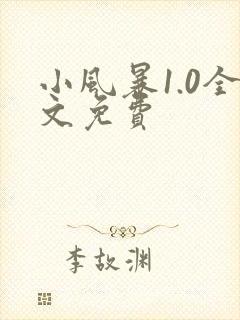 小风暴1.0全文免费