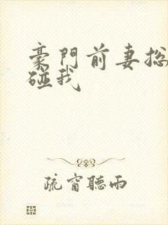 豪门前妻总裁别碰我