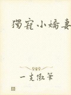 独宠小娇妻