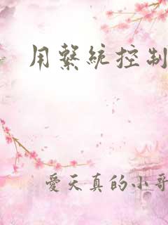 用系统控制女神