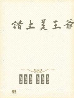 错上美王爷