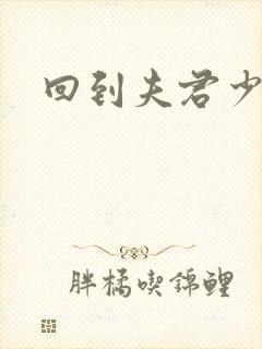 回到夫君少年时