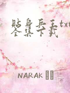 贴身兵王txt全集下载