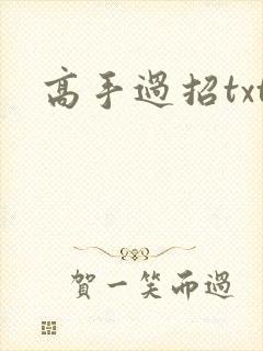 高手过招txt