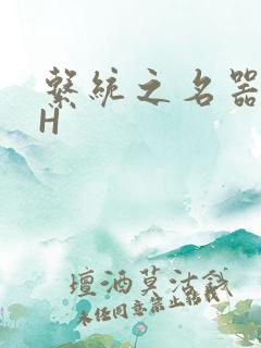 系统之名器勾男H