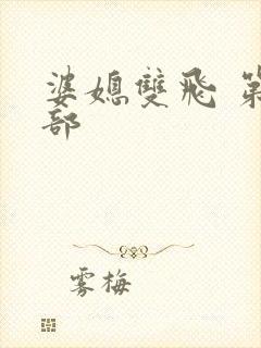 婆媳双飞 第一部