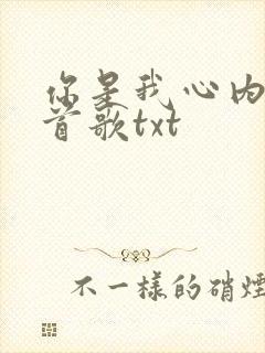 你是我心内的一首歌txt