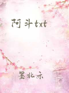 阿斗txt