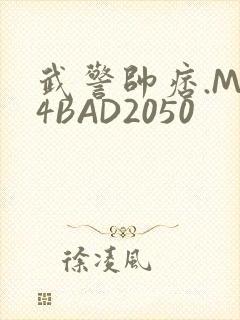 武警帅痞.MP4BAD2050