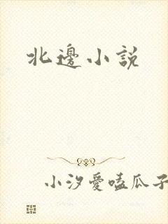 北边小说