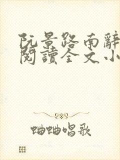 阮景路南辞免费阅读全文小说