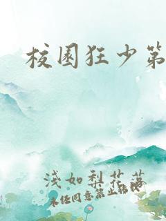 校园狂少第二部