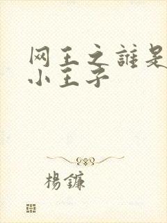 网王之谁是我的小王子