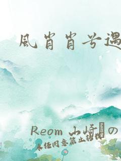 风肖肖兮遇子期