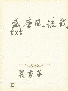 盛唐风流武状元txt