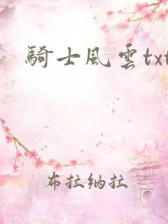 骑士风云txt
