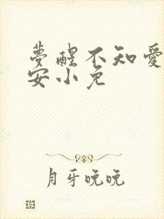 梦醒不知爱欢凉安小免
