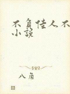 不负佳人不负卿小说