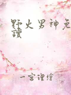 野火男神免费阅读