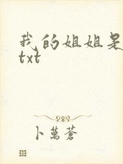我的姐姐是美女txt