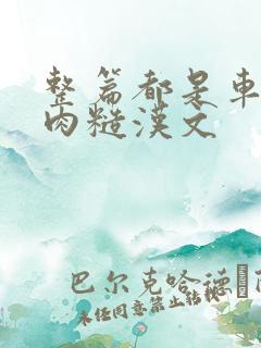 整篇都是车的多肉糙汉文