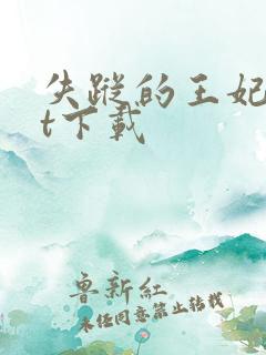 失踪的王妃txt下载