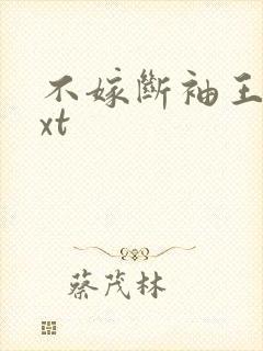 不嫁断袖王爷txt