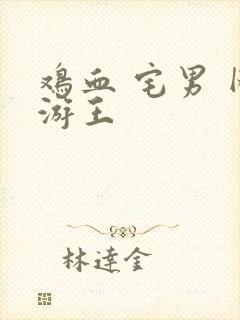 鸡血 宅男 网游王