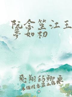 阮念笙江玉楼回梦如初