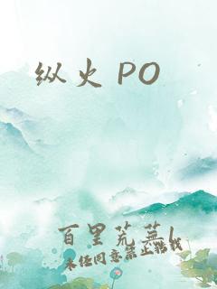 纵火 PO