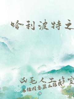 哈利波特之守护