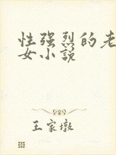 性强烈的老年妇女小说