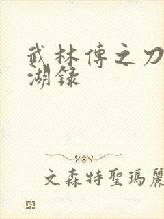武林传之刀剑江湖录