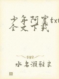少年阿宾txt全文下载