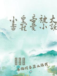 小皇帝被大臣轮番宠爱小说