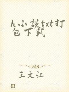 h小说txt打包下载
