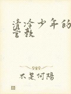 清冷少年的严厉管教