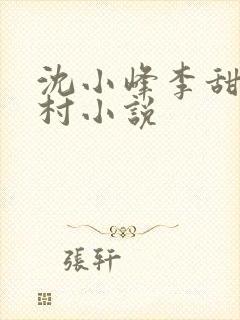 沈小峰李甜的乡村小说