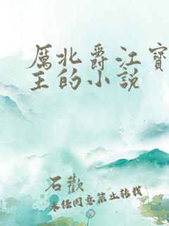 厉北爵江宝宝男主的小说