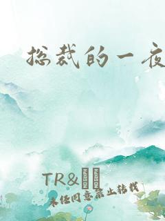 总裁的一夜情人