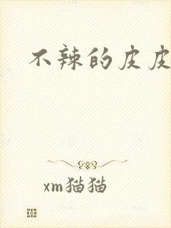 不辣的皮皮小说