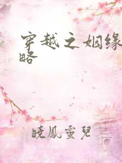 穿越之姻缘劫攻略