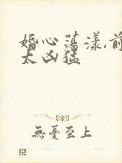 婚心荡漾,前夫太凶猛